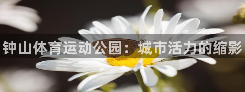 海南JJB竞技宝官网下载发展怎么样:钟山体育运动公园:城市活