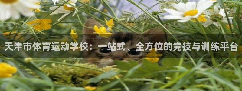 JJB竞技宝官网下载平台注册要钱吗:天津市体育运动学校:一站