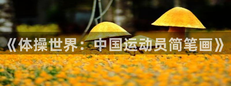 JJB竞技宝官方正版app五金厂:《体操世界:中国运动员简笔