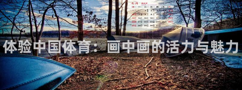 JJB竞技宝官网下载招商电话地址是多少:体验中国体育:画中画